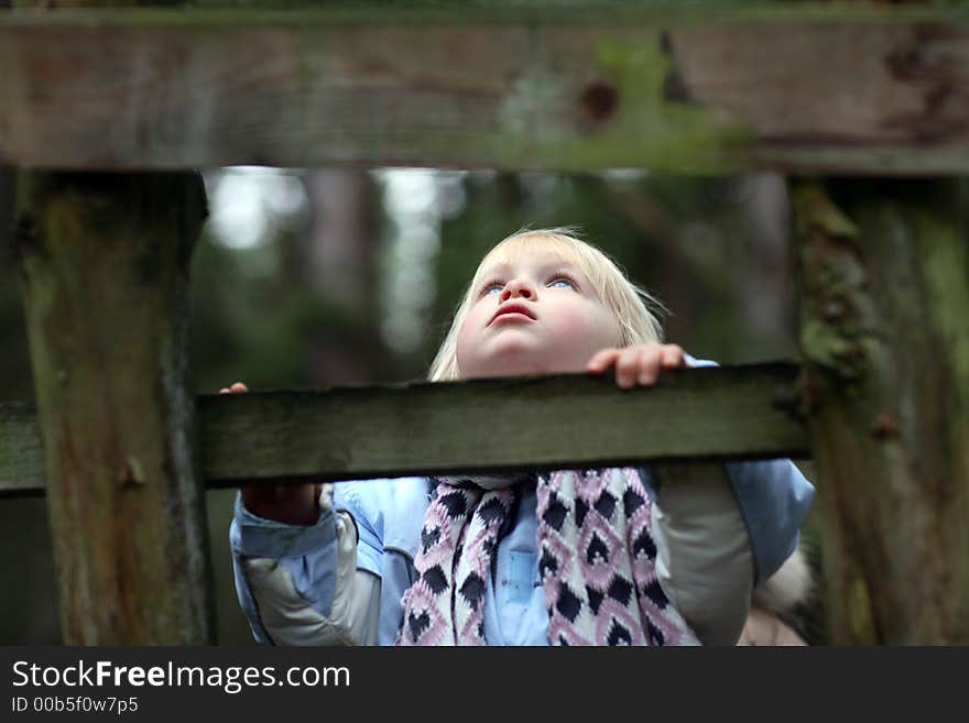 A little girl climbing a ladder. A little girl climbing a ladder