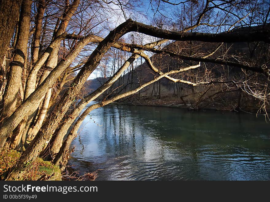 Beautiful river on a sunny day and trees