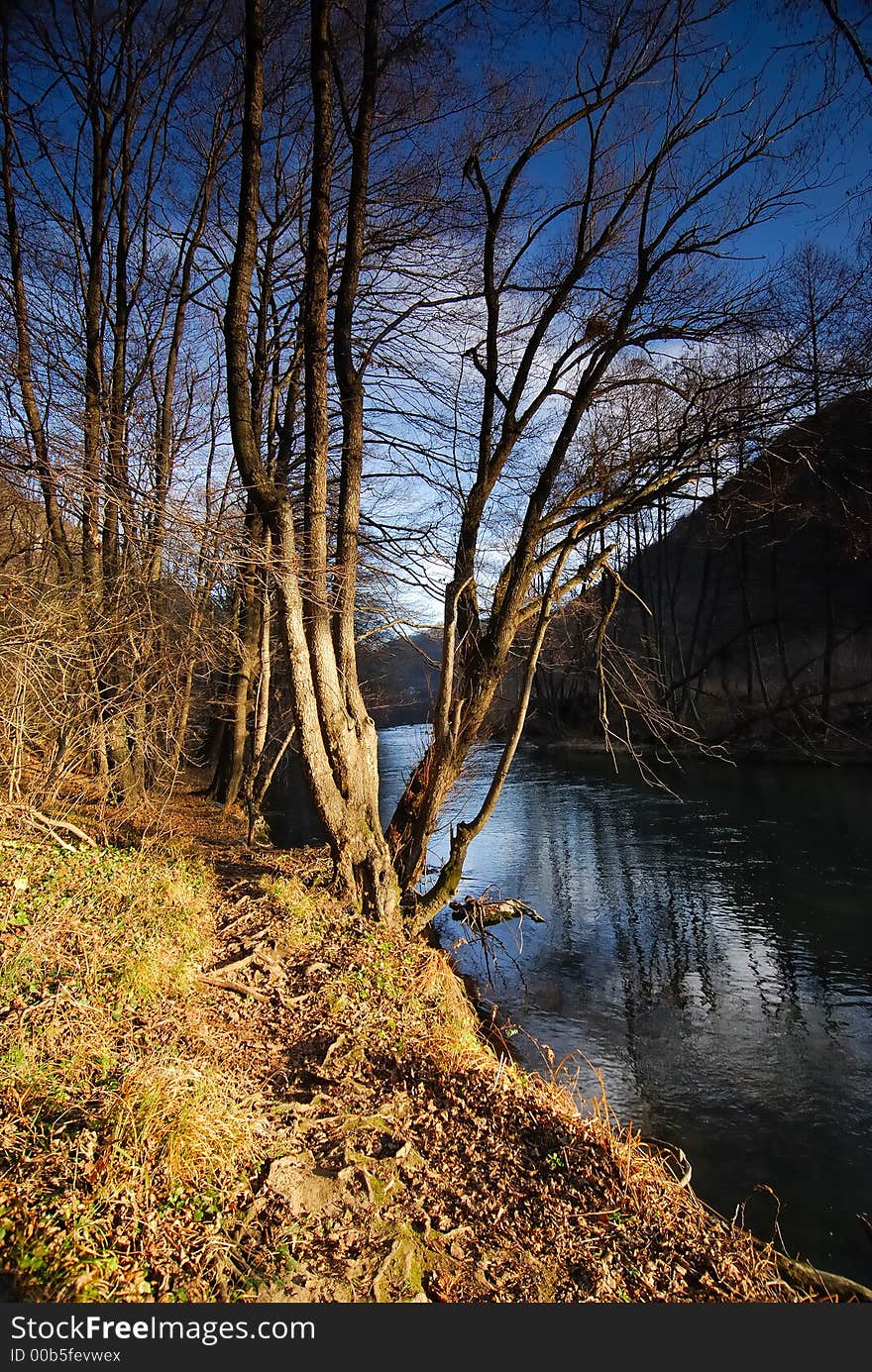 River on a sunny day and trees in the evening