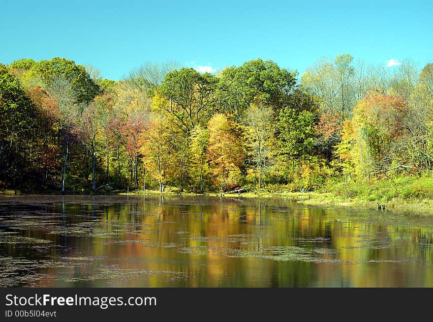 A Beautiful fall reflection on a sunny autumn day