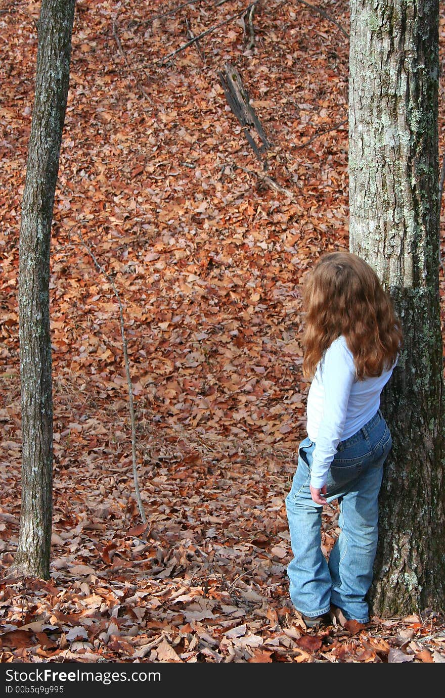 Lonely Hiker