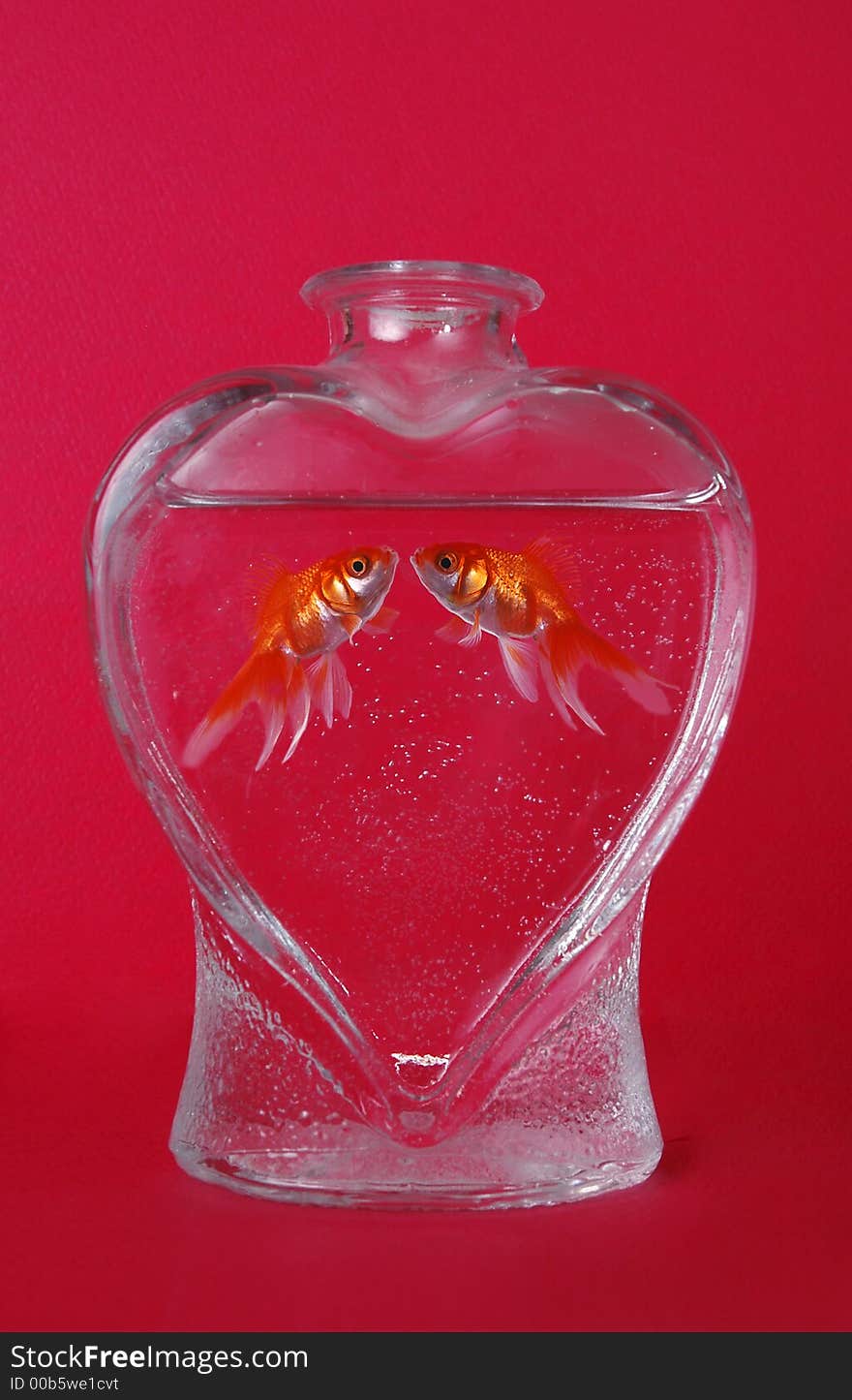 Fish in Love 2