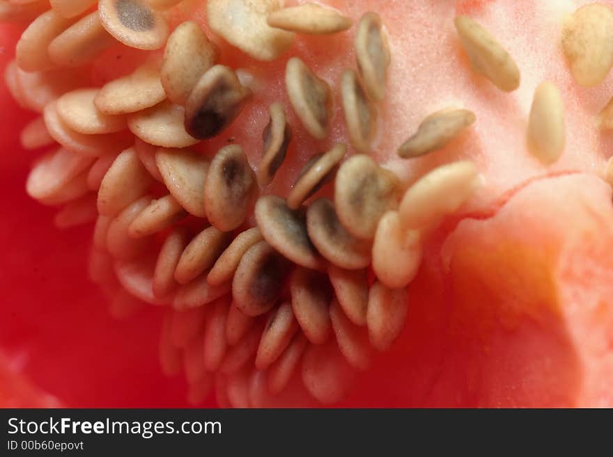 Macro of red pepper seeds