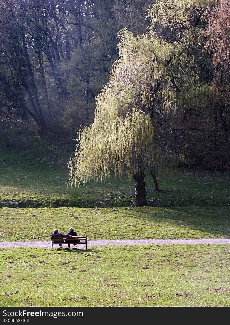 Couple seat on the nice spring sun. Couple seat on the nice spring sun