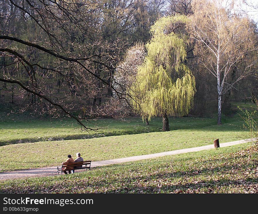 Romantic scenery from the public park in springtime. Romantic scenery from the public park in springtime