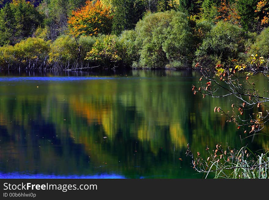 Autumn reflection on water surface