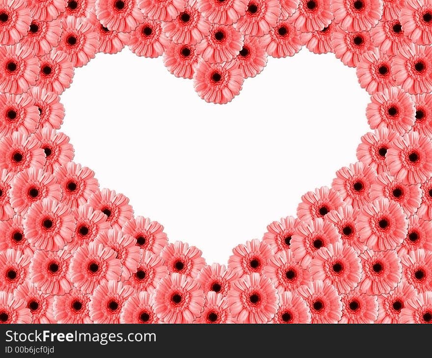 Frame with pink daisies on the white background. Frame with pink daisies on the white background