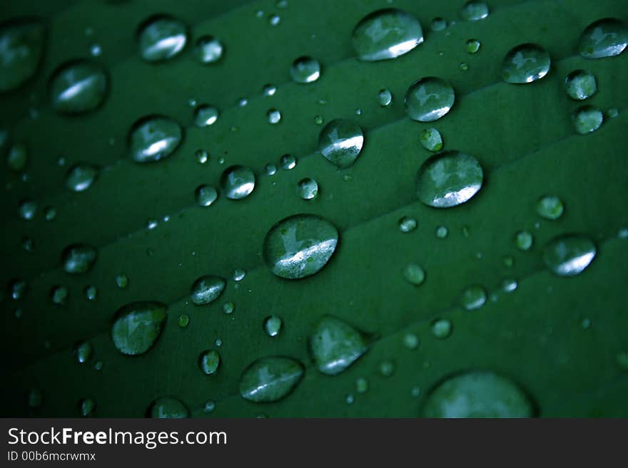 Water Drops 2