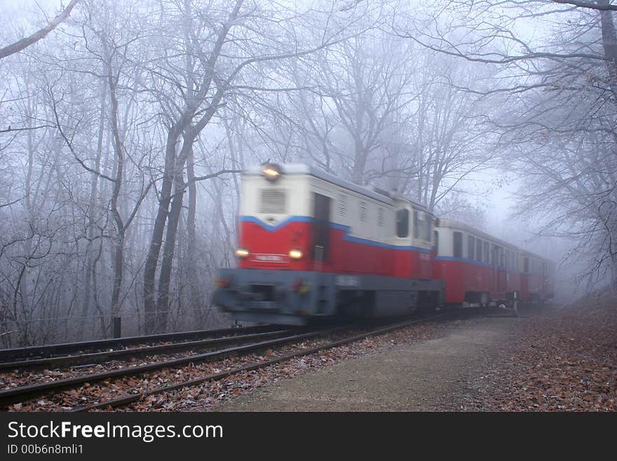 Light railway in the middle of the forest