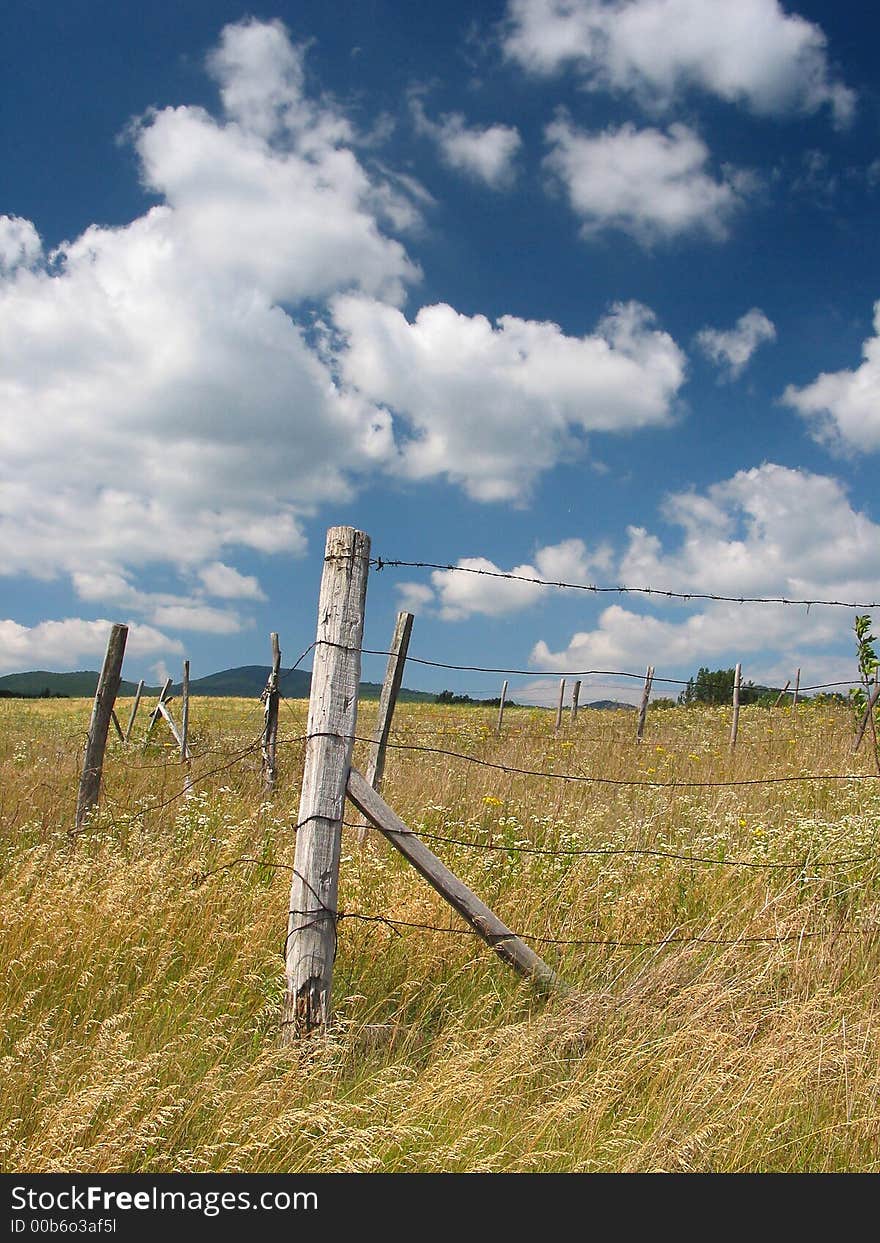 A barbed wire fence in the middle of the meadow