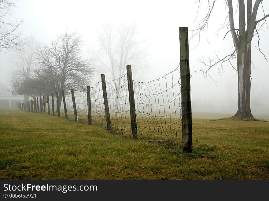 Foggy day in a park in the winter morning. Foggy day in a park in the winter morning