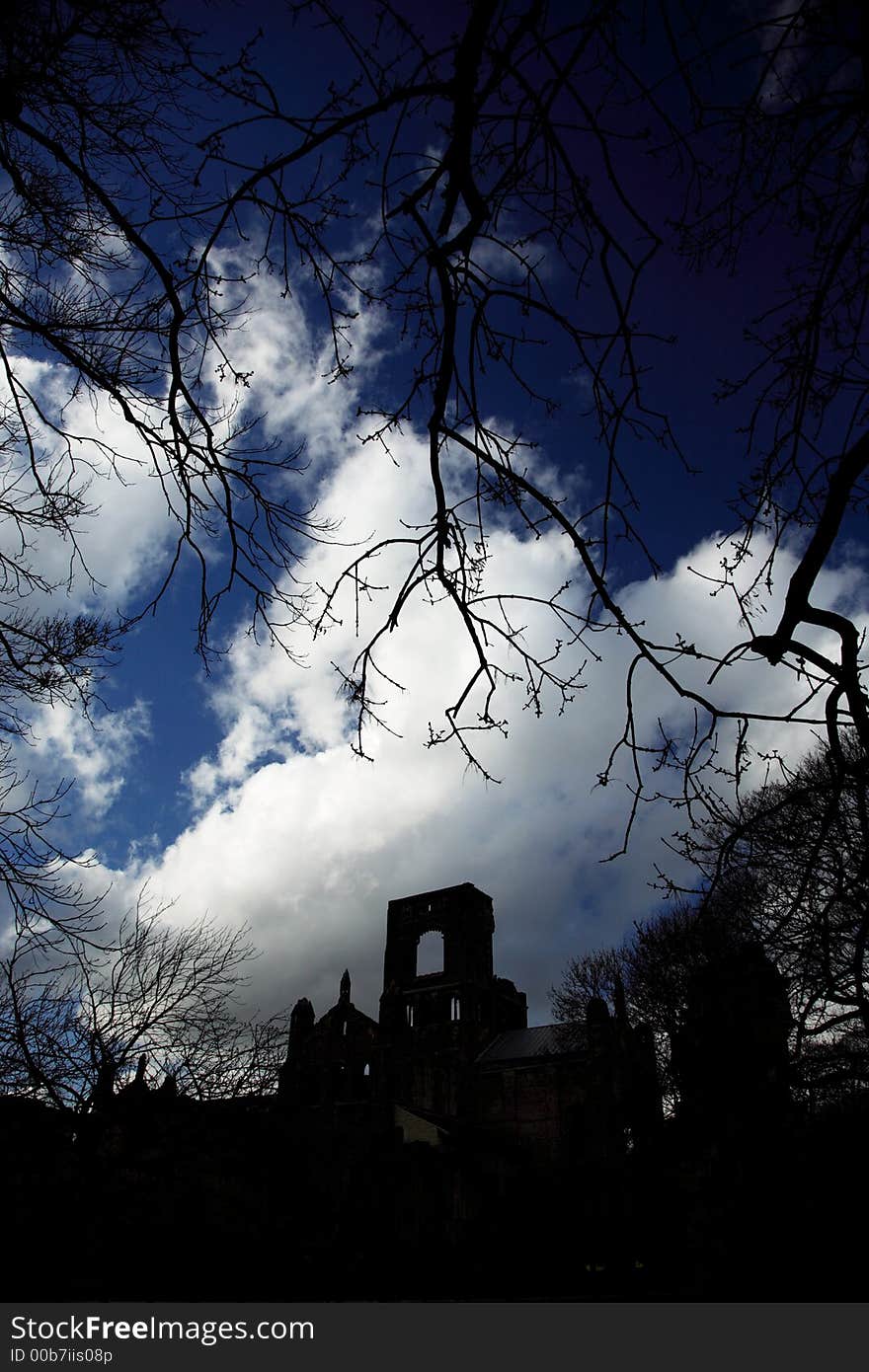 Kirkstall Abbey Framed By Trees