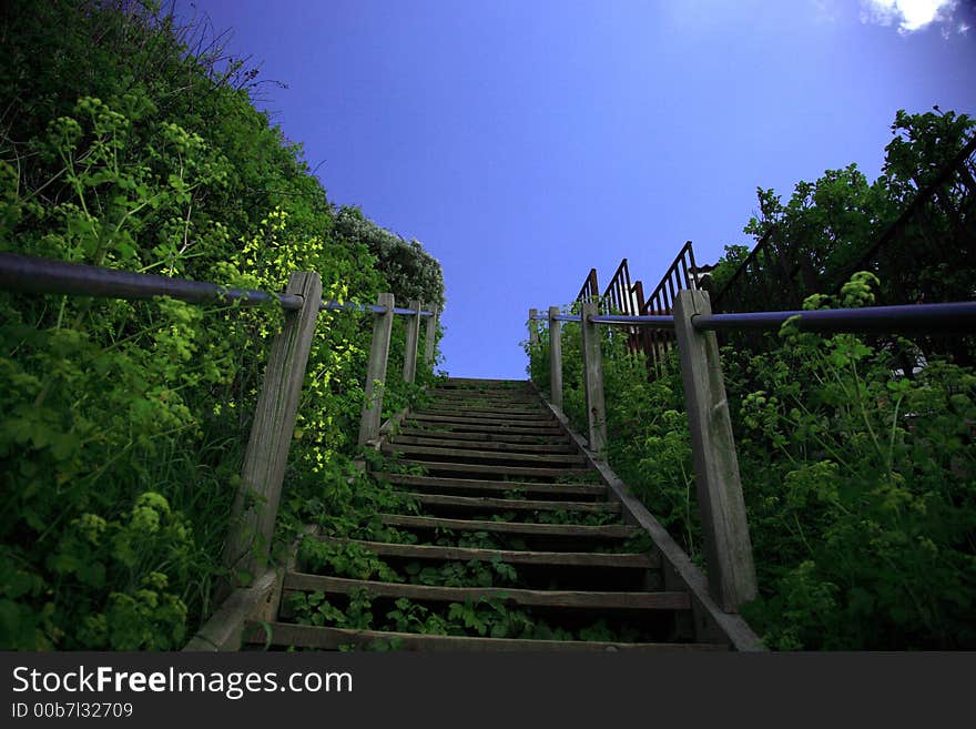 Up the steps