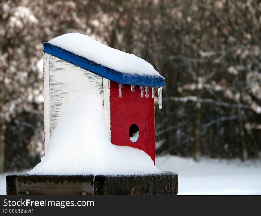 Frozen birdhouse