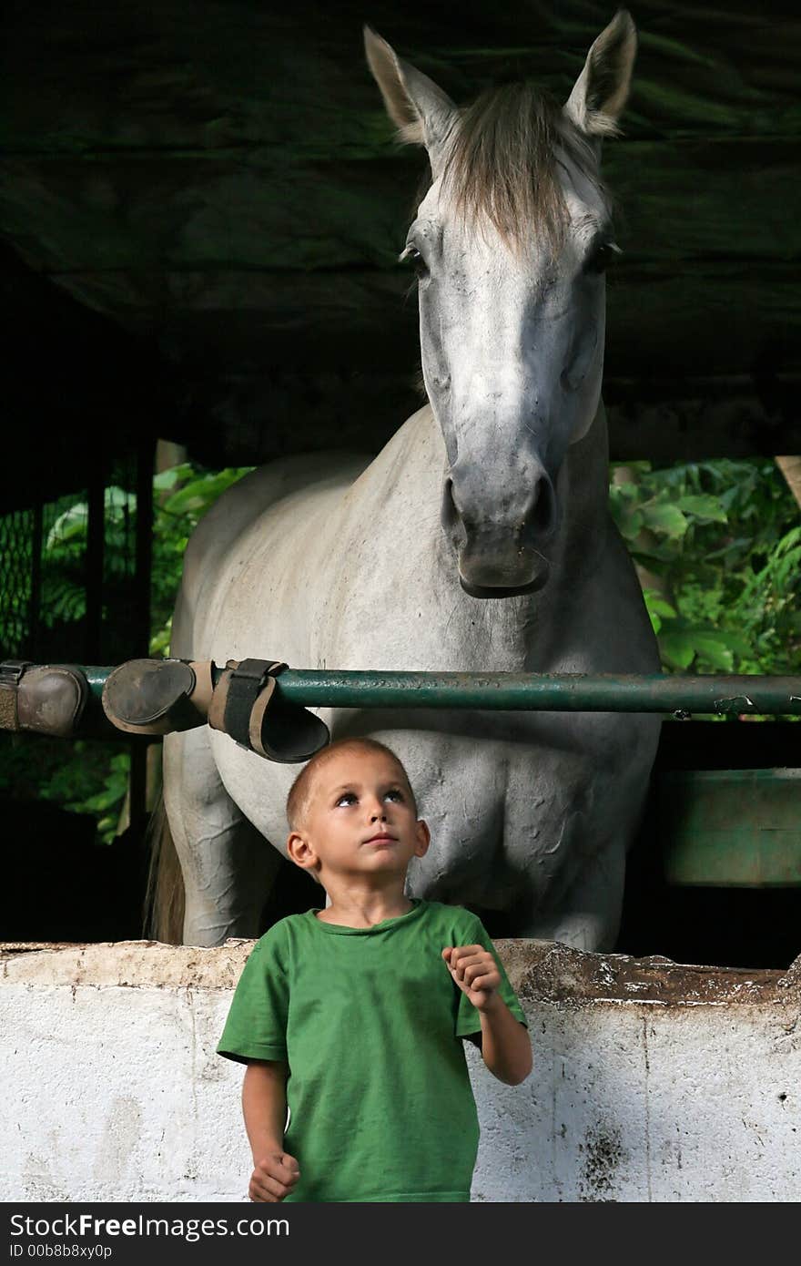 Young boy afraid of a horse. Young boy afraid of a horse