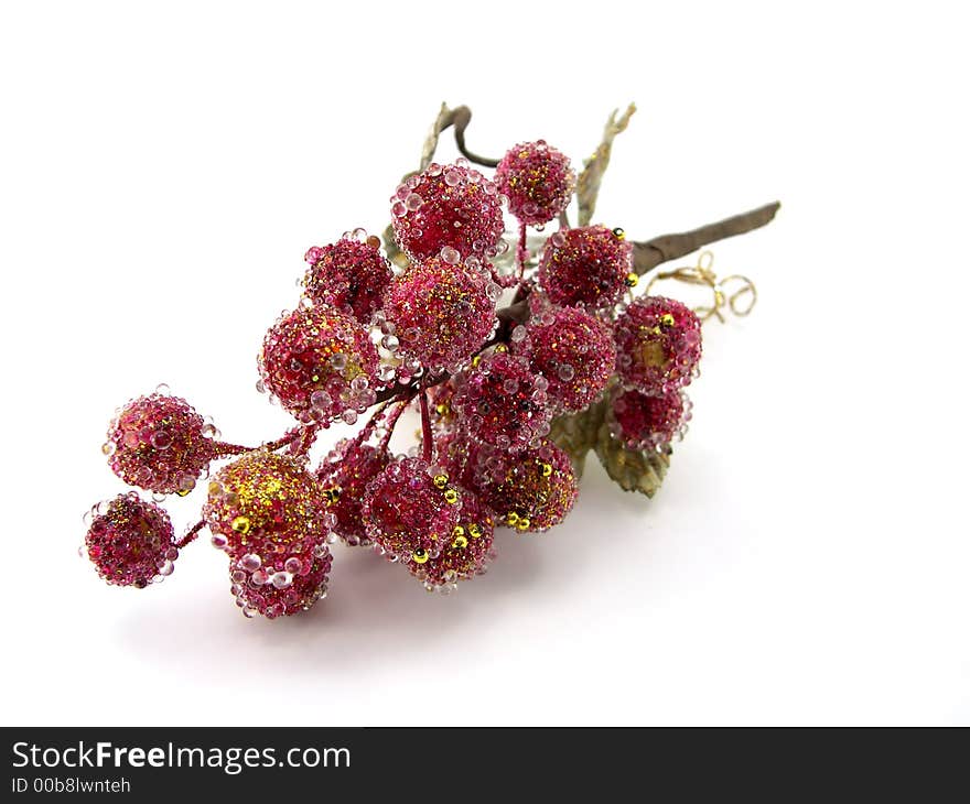 Decorative cluster of a grapes beautiful on a white background