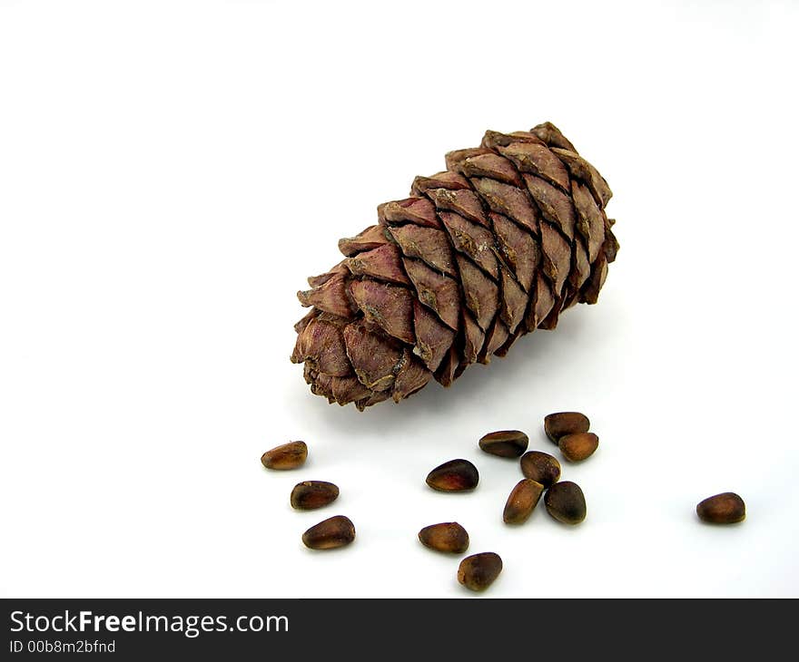 Beautiful cone with nuts on a white background