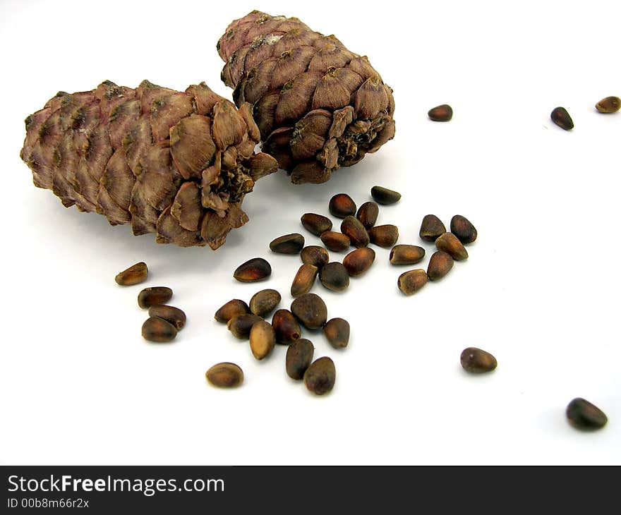 Beautiful cone with nuts on a white background