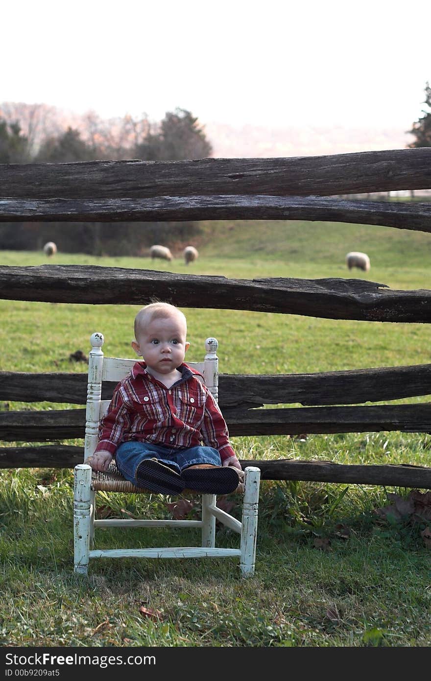 Image of baby boy sitting on a chair in front of a fence. Image of baby boy sitting on a chair in front of a fence