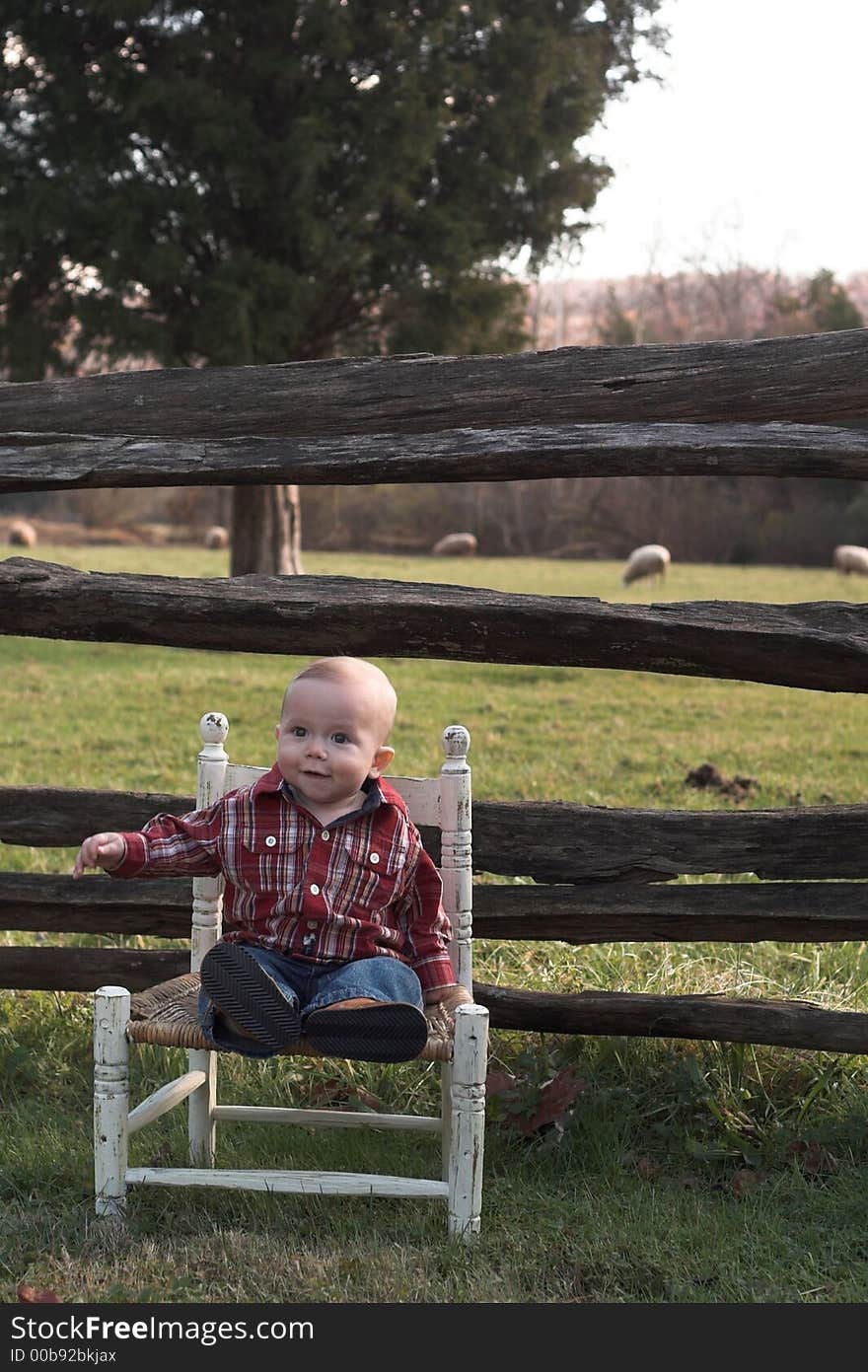 Image of baby boy sitting on a chair in front of a fence. Image of baby boy sitting on a chair in front of a fence