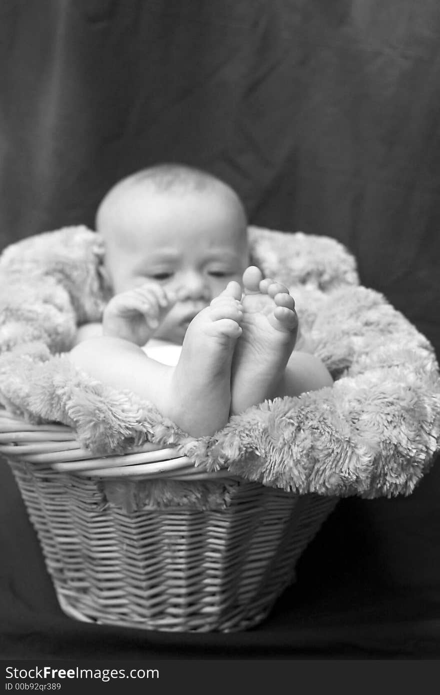 Image of baby boy nestled in a basket. Image of baby boy nestled in a basket