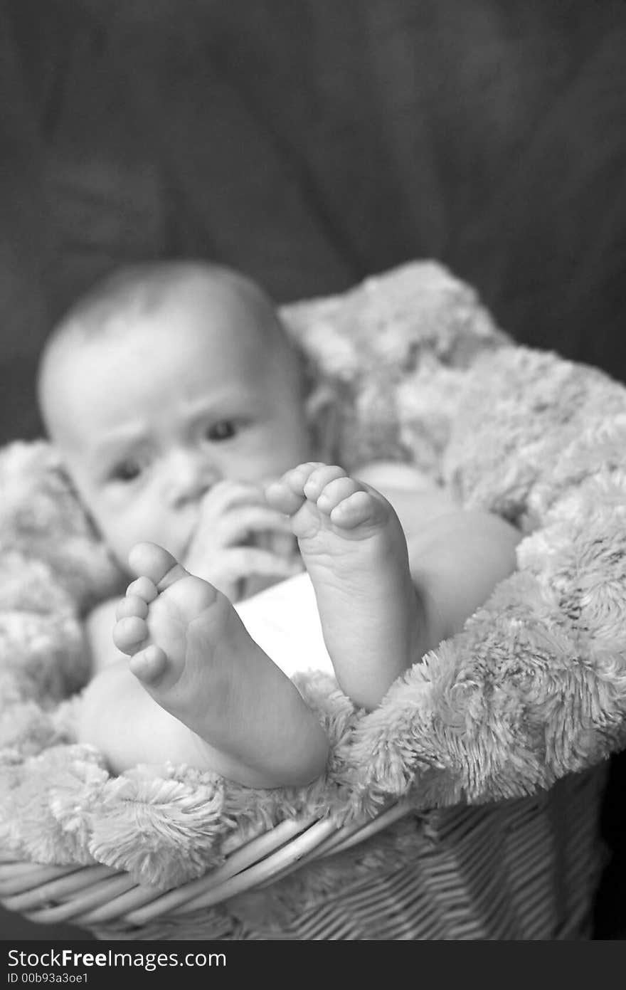 Black and white image of baby boy nestled in a blanket-lined basket. Black and white image of baby boy nestled in a blanket-lined basket