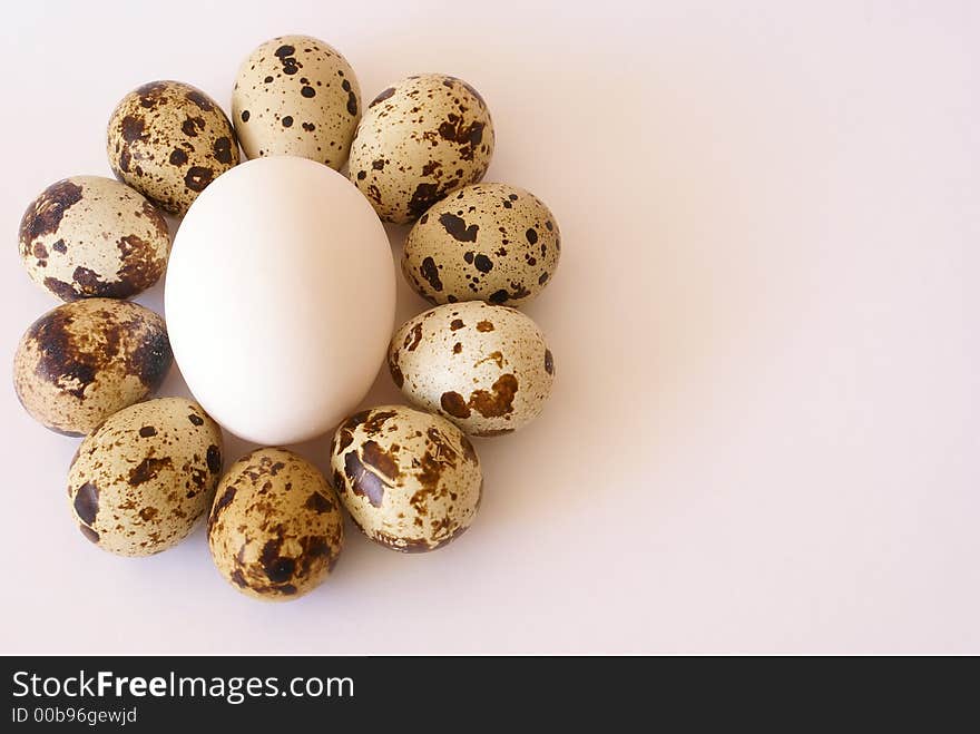 Quail and hen's eggs over white background. Quail and hen's eggs over white background