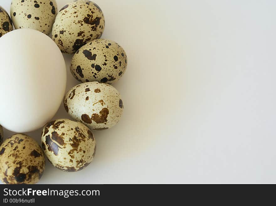 Quail and hen's eggs composition on the white background