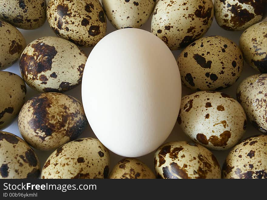 Quail and hen's eggs close-up centered background