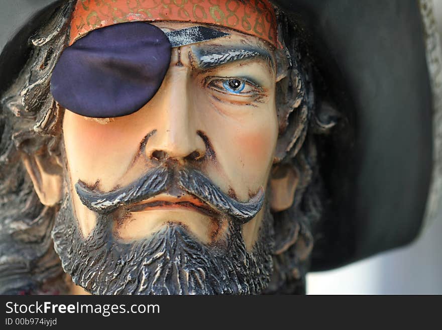 Portrait Of A Pirate