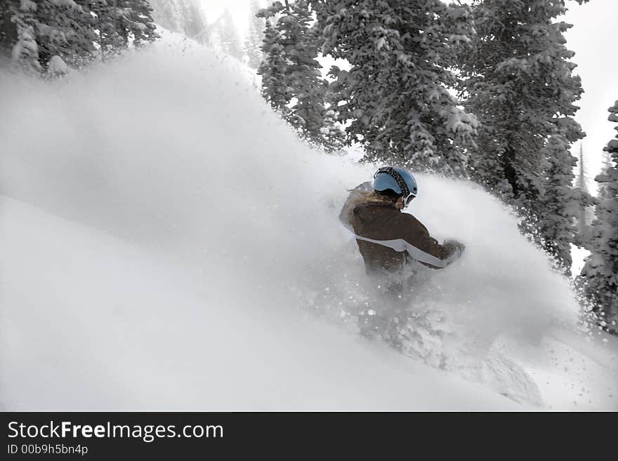 Women snow boarder 2 in action