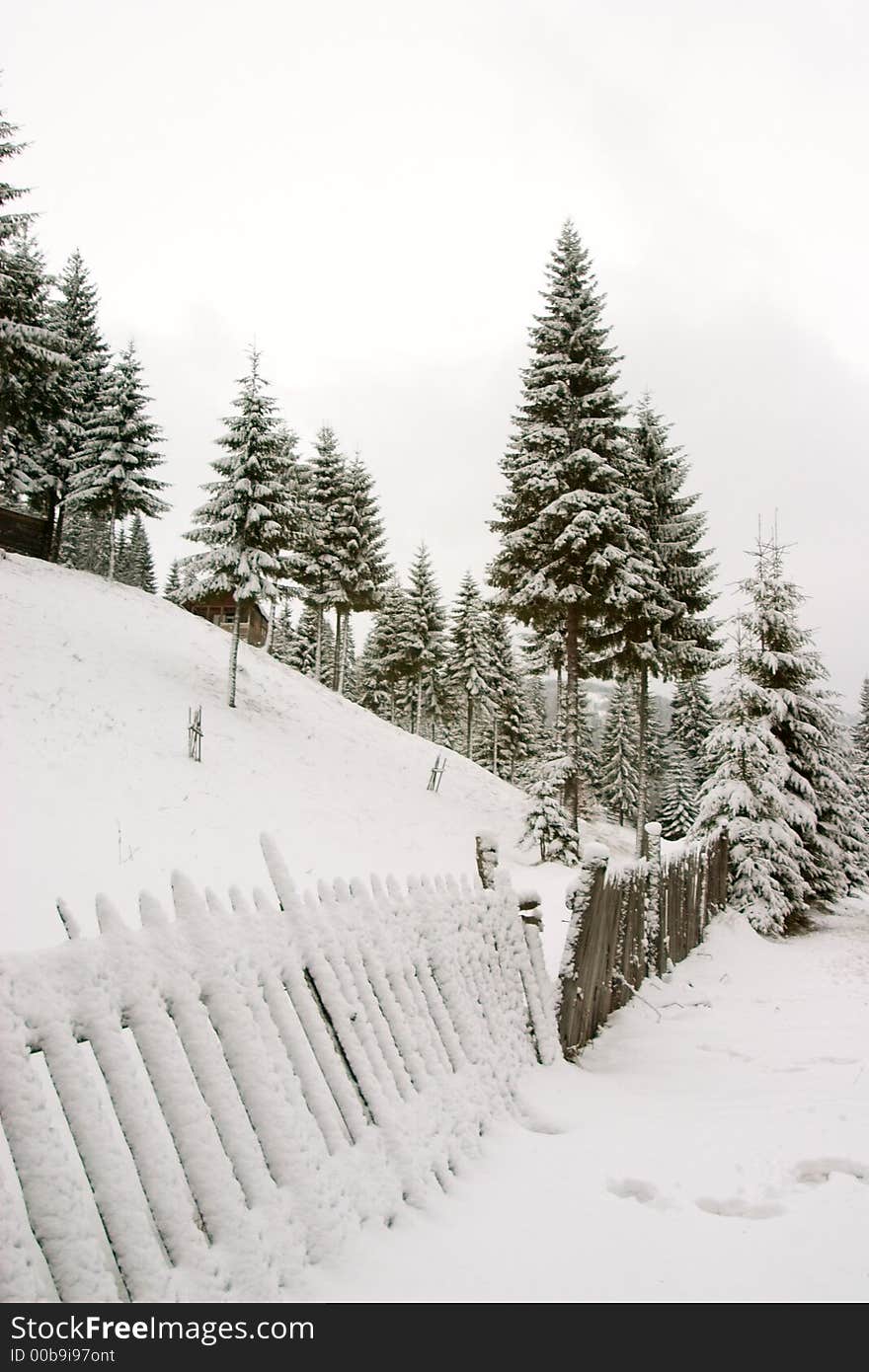 Fence direction in winter landscape