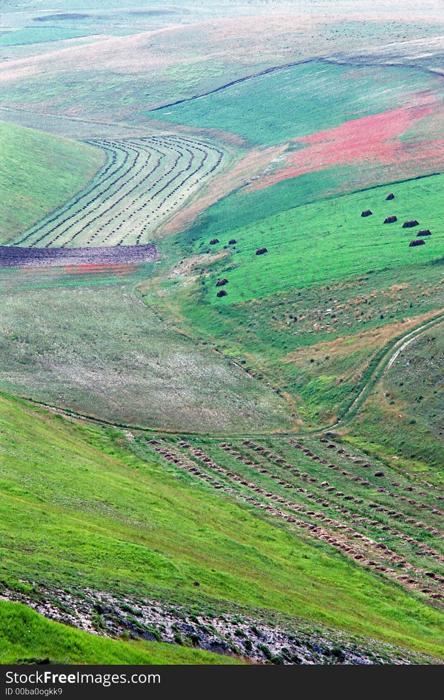 Valley In Spring