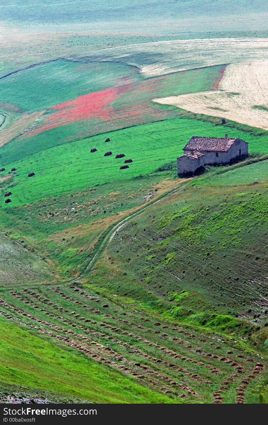 Valley in spring with farm