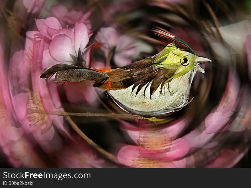 A decorative bird surrounded by decorative plum blossoms. A decorative bird surrounded by decorative plum blossoms