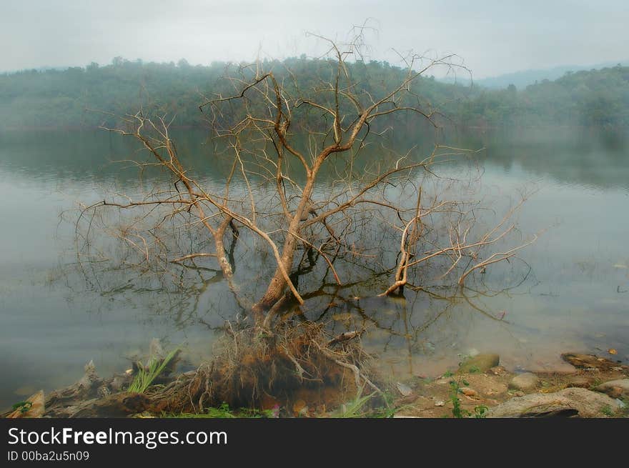 This photo was capture at Batu Dam Malaysia. This photo was capture at Batu Dam Malaysia