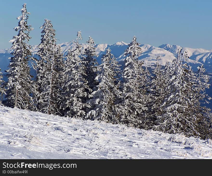 Winter mountain landscape