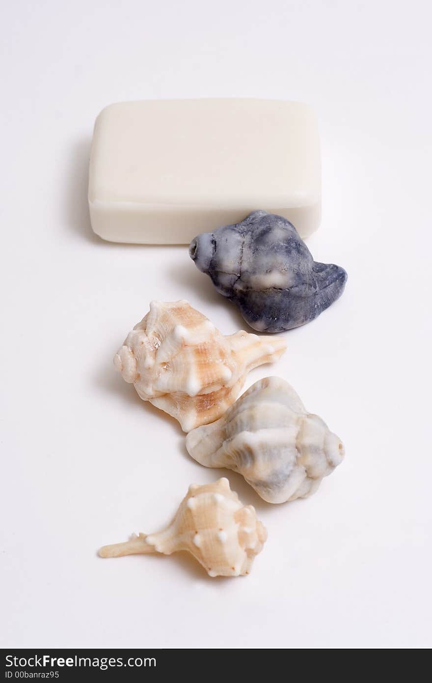 SPA Items -soap and seashell