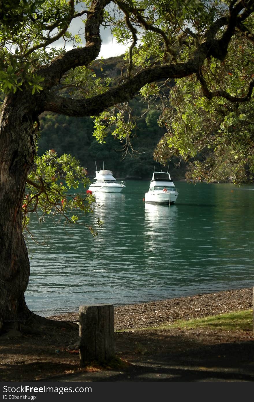 Two boats at anchor in calm bay with tree in foreground. Two boats at anchor in calm bay with tree in foreground