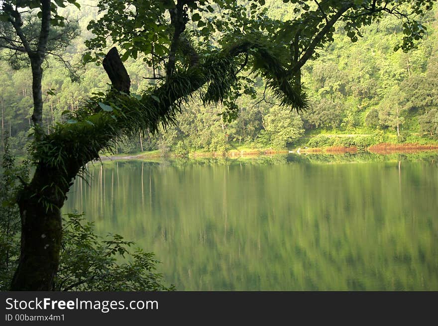 Green Water