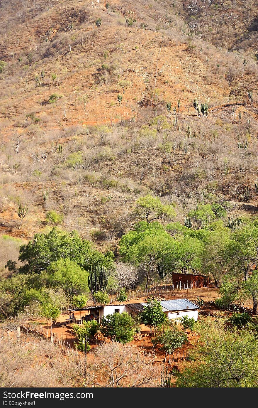 House in the foothill of the Sierra in the town of Alamos, in the northern state of Sonora, Mexico, Latin America