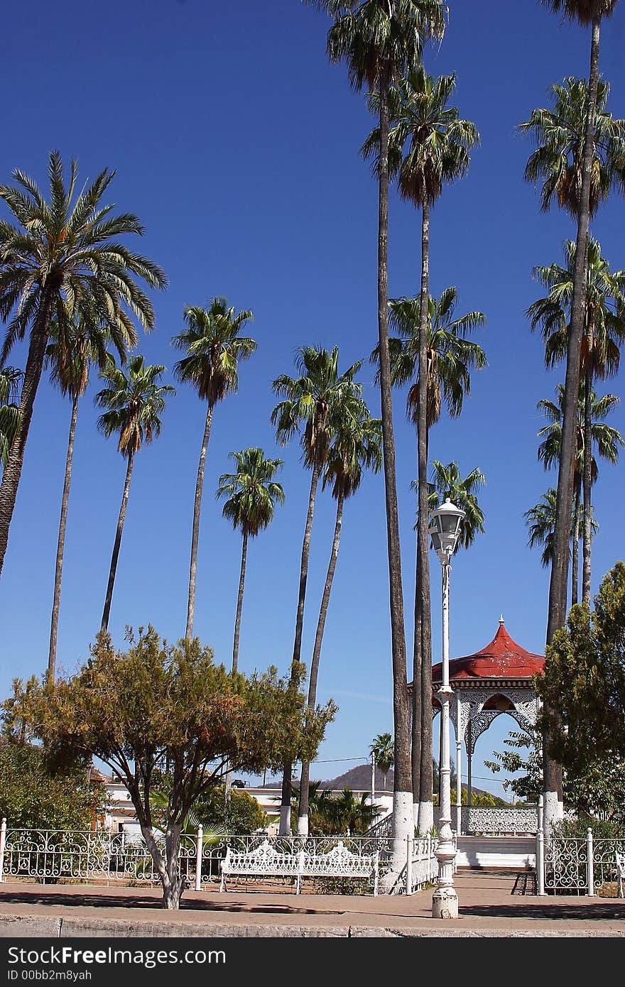 General view of the central plaza with palms and its kiosk in the town of Alamos in the northern state of Sonora in Mexico, Latin America