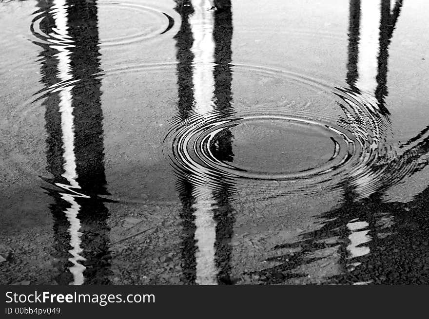 Black and white circles on water with many different reflections