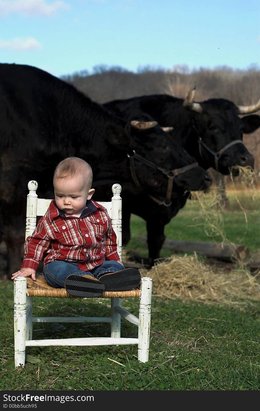 Country Boy