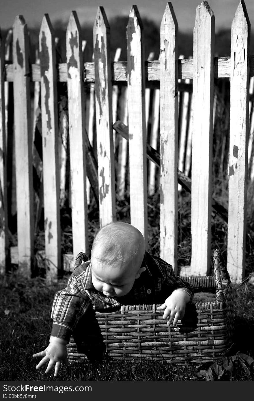 Image of baby boy sitting in a basket in front of a white picket fence. Image of baby boy sitting in a basket in front of a white picket fence