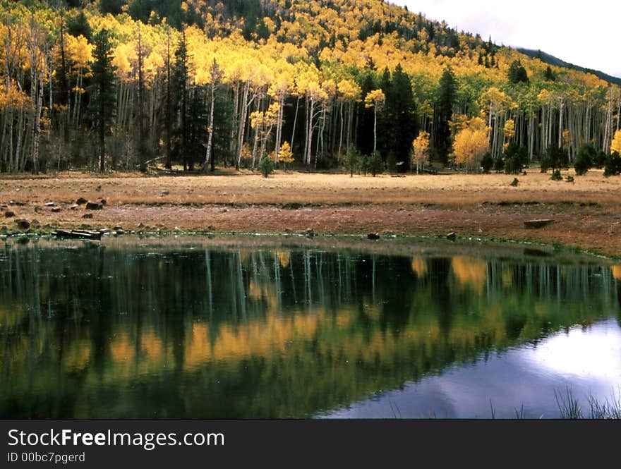 Fall Color Reflections, Arizona