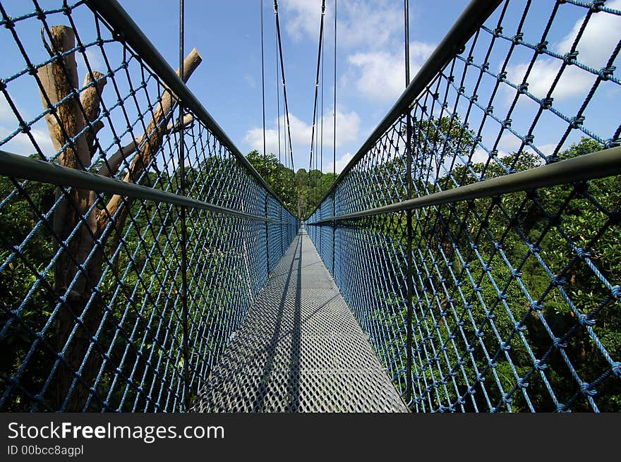 Suspension bridge