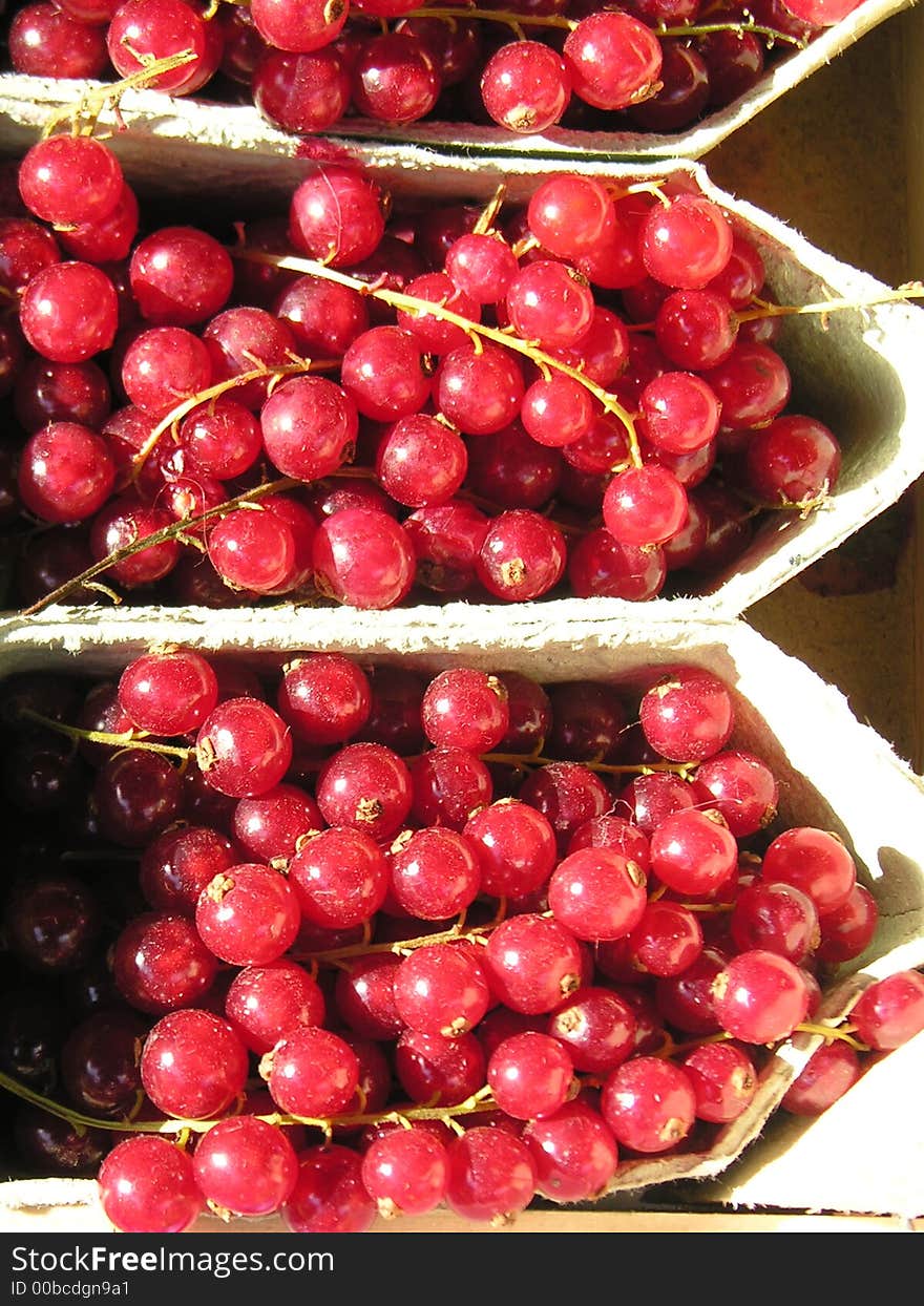 Bunches of Organic Red Grapes in Containers at Farmers' Market