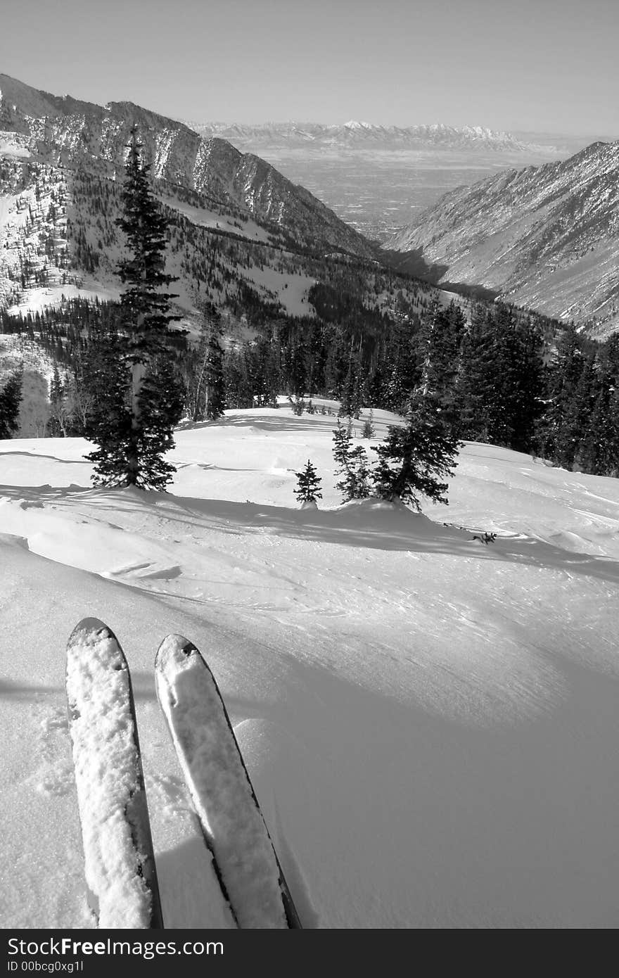 Skis, vista and fresh powder near snowbird ski and summer resort in the backcountry utah