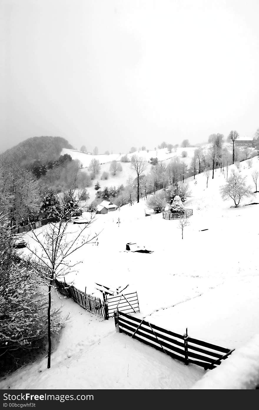 Black and white winter landscape. Black and white winter landscape